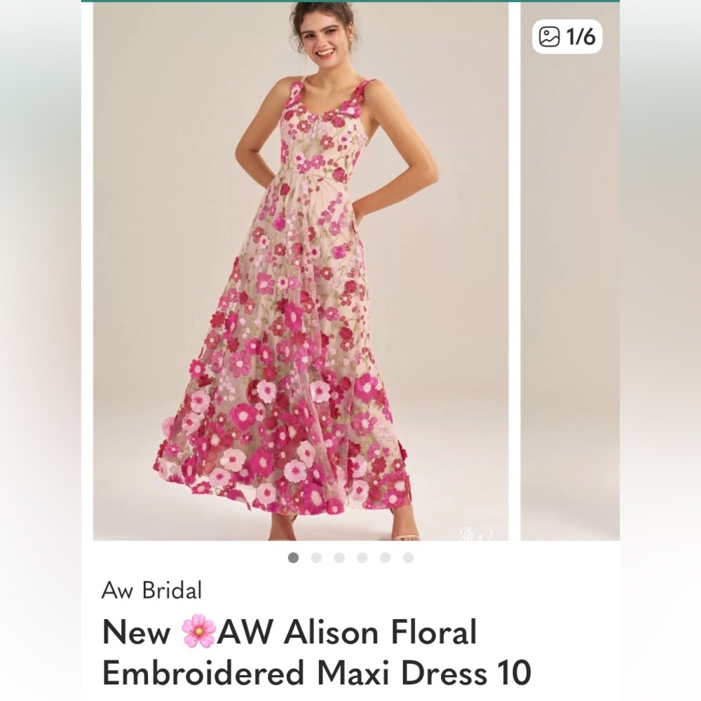 New 🌸AW Alison Floral Embroidered Maxi Dress 10